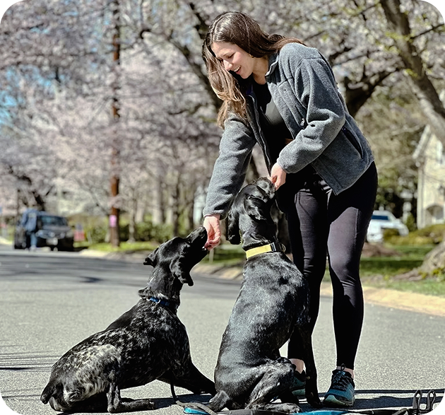Meet the Trainer Behind the Leash